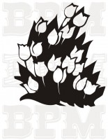 /album/kvety-stromy/kvety-1-jpg/